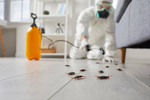 Commercial Kitchen Cockroach Control in Tallapoosa
